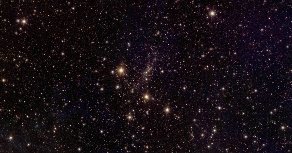 The Euclid Space Telescope takes an intimate look at the distant universe