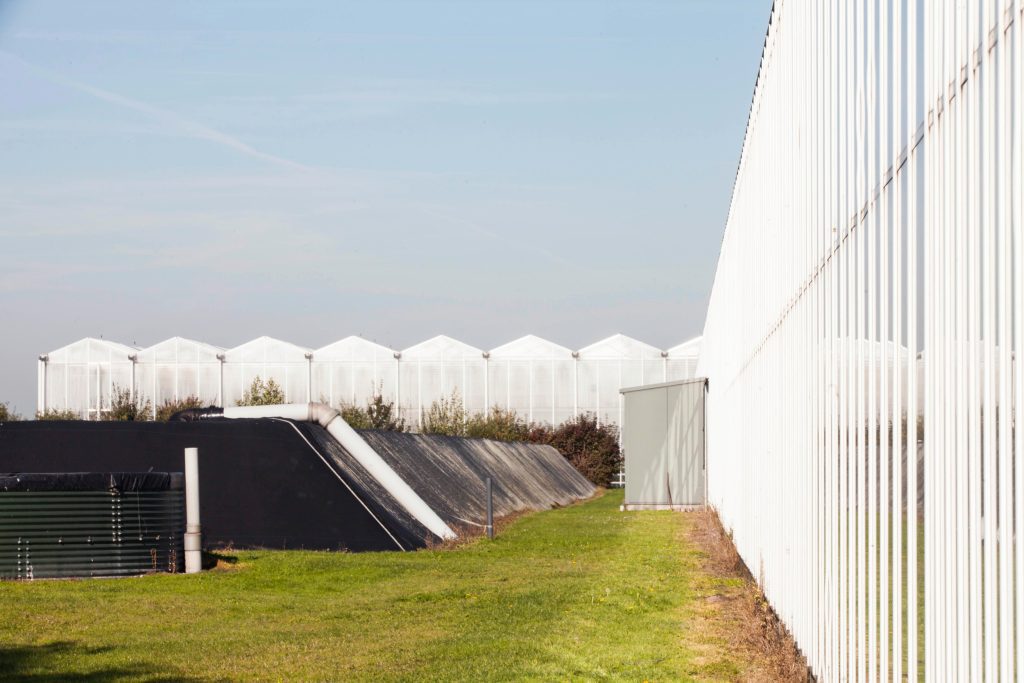 Spatial memo: Coordination of new greenhouse horticulture sites