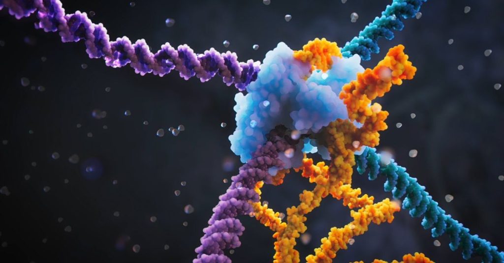 With mobile DNA, it is possible to perform very precise genetic manipulation.