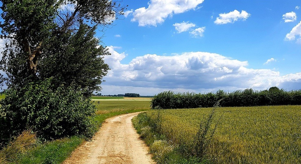 Rural Report: ‘Open Space Under Pressure, Getting Less Operating Subsidies’